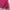Casual Parka Wanita pink photo 2