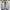 Nike Streetwear Pria multicolor photo 5