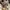 Converse Casual Sneakers Wanita white photo 1