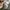 Armani	 Luxury Casual Polo shirt Pria white photo 4