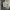 Armani	 Luxury Casual Polo shirt Pria white photo 1