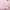Beanpole Luxury Minimalist T-shirt Wanita pink photo 5