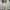 Minimal Streetwear Skater Jeans Pria cream photo 2