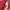 Nike Streetwear Sportswear T-shirt Pria red photo 7
