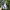 New Balance Streetwear Sportswear Casual shoe Pria gray photo 4