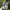 New Balance Sportswear Casual Sneakers Pria gray photo 4