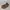 Chanel Luxury Heels Wanita tan brown photo 1