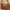 Minimalist Shoulder bag Wanita brown photo 1