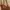 Minimalist Shoulder bag Wanita brown photo 4