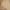 Minimalist Babydoll dress Wanita gold cream photo 1