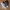 Nike Sportswear Minimalist Sneakers Pria white black photo 2