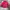 Streetwear Skater Windbreaker Pria red black photo 1