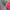 Streetwear Skater Windbreaker Pria red black photo 6