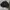 Nike Luxury Sweatshirt Pria black photo 1