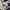 Tommy Hilfiger Y2K Skater Casual pants Pria navy photo 5