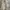 Playboy Streetwear Casual Harrington jacket Pria cream photo 1