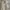 Playboy Streetwear Casual Harrington Jacket Pria Cream
