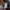 Carhartt Vintage Streetwear Pria brown photo 7