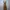 Carhartt Vintage Streetwear Pria brown photo 1