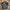 Gorpcore Puffer jacket Pria black photo 4