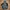 Gorpcore Puffer jacket Pria black photo 1
