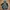 Gorpcore Puffer Jacket Pria Black