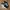 Nike Luxury Skater Sneakers Pria white black photo 2