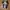 Nike Luxury Skater Sneakers Pria white black photo 4
