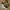 Nike Luxury Skater Sneakers Pria white black photo 1