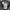 Biker Windbreaker Pria black photo 4