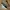 VANS Streetwear Casual Sneakers Pria white black photo 1