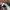 VANS Streetwear Casual Sneakers Pria white black photo 6