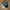 VANS Streetwear Casual Sneakers Pria white black photo 2