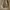VANS Streetwear Casual Sneakers Pria white black photo 5