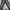 Casual Skinny jeans Wanita navy blue photo 3