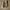 VANS Streetwear Casual Sneakers Pria white black photo 5