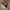 VANS Streetwear Casual Sneakers Pria white black photo 2
