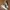 VANS Skater Casual Sneakers Pria multicolor photo 2