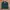 Y2K T-shirt Pria green photo 5