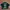 Y2K T-shirt Pria Green