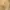 Coach Luxury Casual Sneakers Pria tan photo 8