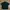 Minimalist T-shirt Pria black photo 2