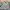 Nike Streetwear Sportswear Tracksuit Pria green gray photo 6