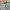 Nike Streetwear Sportswear Tracksuit Pria green gray photo 2