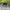 Nike Streetwear Sportswear Tracksuit Pria green gray photo 4
