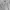 BASSO Vintage Casual Windbreaker Wanita white black photo 1