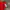 Adidas Sportswear Casual Jersey Pria red photo 5
