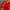 Adidas Sportswear Casual Jersey Pria red photo 3