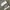 Adidas Streetwear Casual Sneakers Pria white green photo 3