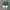 Adidas Streetwear Casual Sneakers Pria White Green
